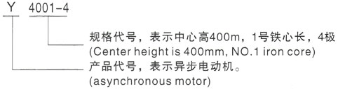 西安泰富西玛Y系列(H355-1000)高压YKS5601-4/1600KW三相异步电机型号说明